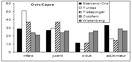 Vârstele de sacrificare la ovicaprine / Kill-off patterns of caprovines
