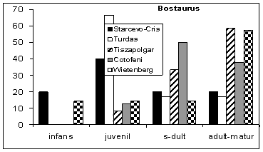 Vârstele de sacrificare la bovine / Kill-off patterns of cattle