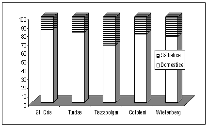 Rata sp. domestice / sălbatice la Cauce (pe indivizi) / Domestic / wild species ratio at Cauce (as individuals)