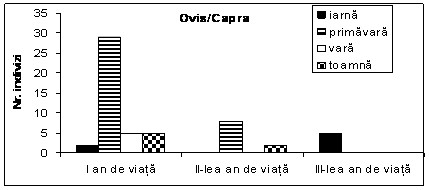 Sacrificări sezoniere la ovicaprine în Turdaş / Seasonal killings at caprovines in Turdaş level