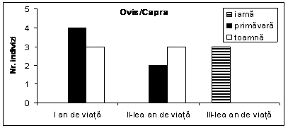 Sacrificări sezoniere la ovicaprine în Wietenberg / Seasonal killings at caprovines in Wietenberg level 