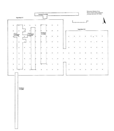 Planul 3. Dispunerea secţiunilor şi suprafeţelor de cercetare la Miercurea Sibiului-Petriş .
