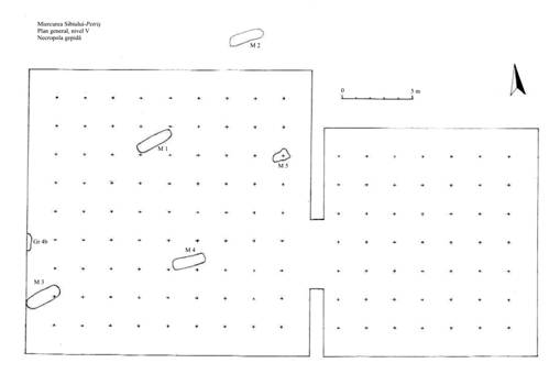 Planul 4. Miercurea Sibiului-Petriş. Descoperiri gepide. 