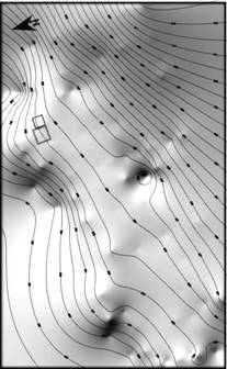 Plan 2. Miercurea Sibiului-Petriş. Ridicarea topografică orto-satelitară a sitului arheologic.